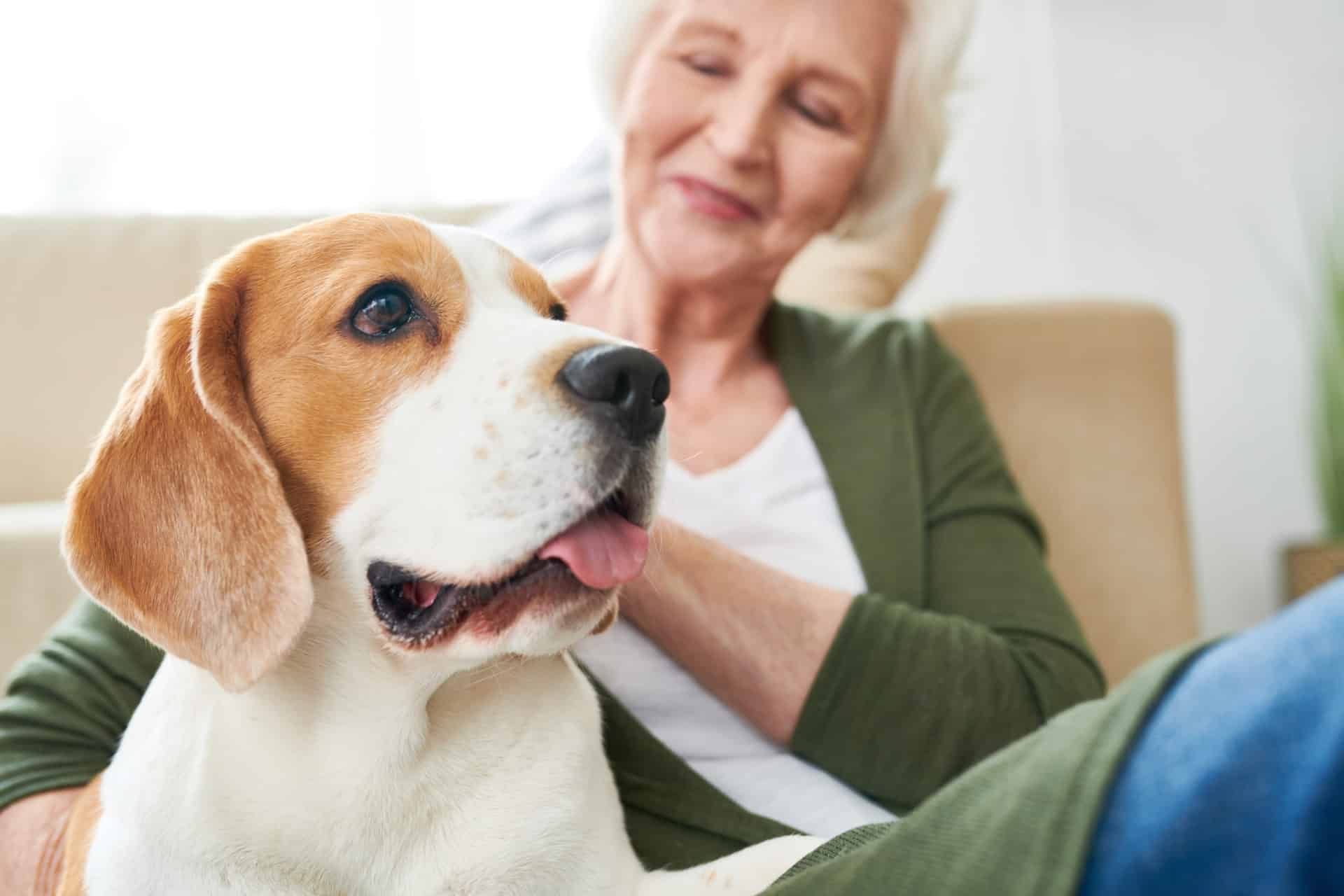 Pet-Friendly Senior Haven: Affordable 55+ Rentals In Central Florida
