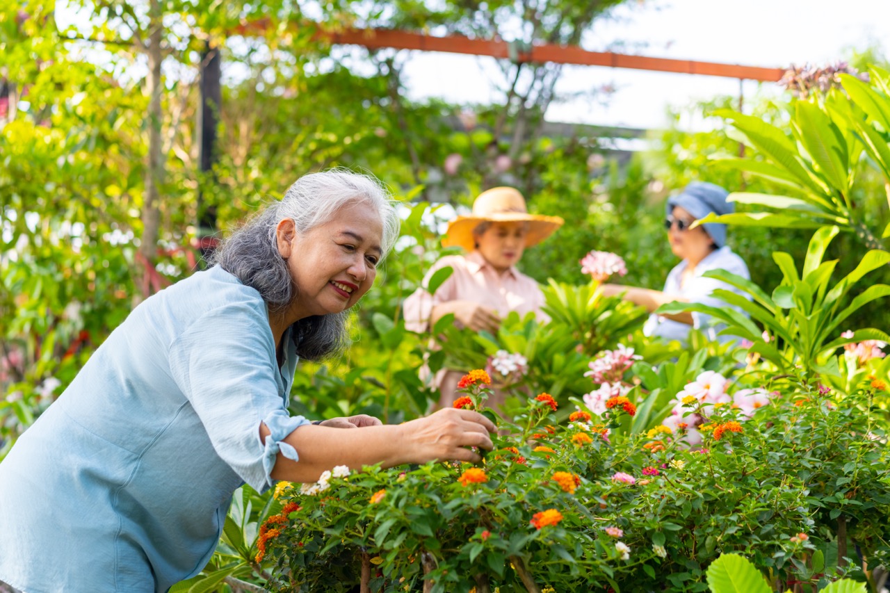 Group of Cheerful Asian senior women shopping together at street market.